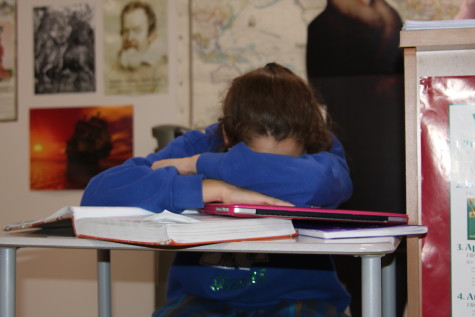 Freshman Sarah Alpert falls asleep in History class after a long night of studying.