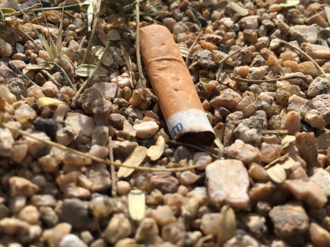 Smoking poses a myriad of health detriments to one's well being.