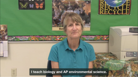 Faculty Spotlight: Meet Ms. Whalen