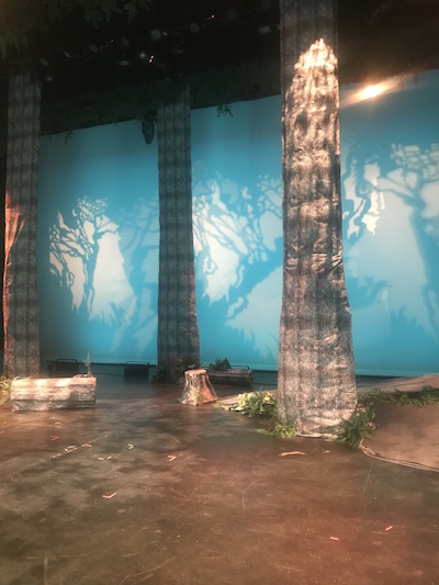 The set of Into the Woods reveals the magical element to this production. 