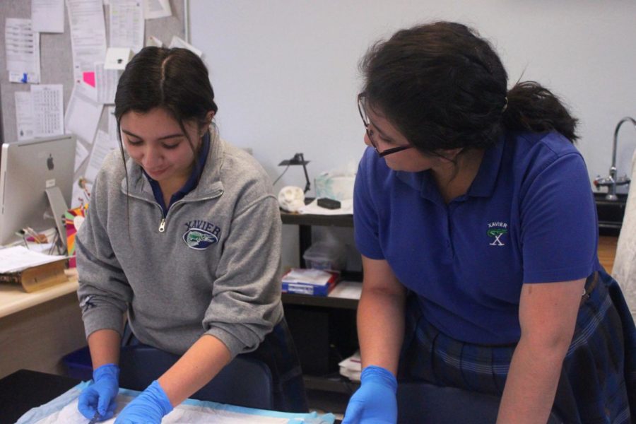 Xavier students dissecting a rat for service hours. Photo from Hannah Shulski 19.