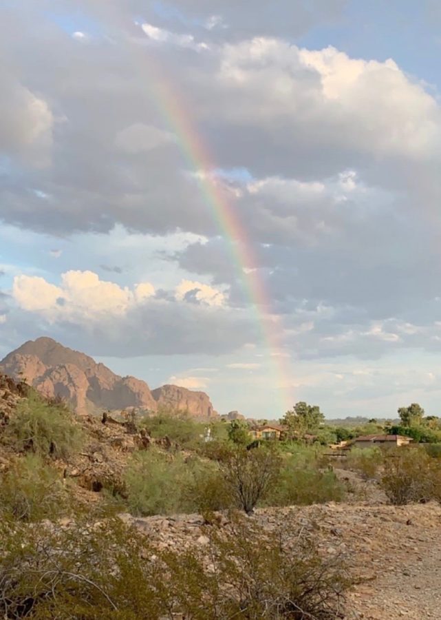 An Arizona winter day in 2019 showcases a rainbow after a light rain. 
Photo Credit: Annabelle Goettl 20