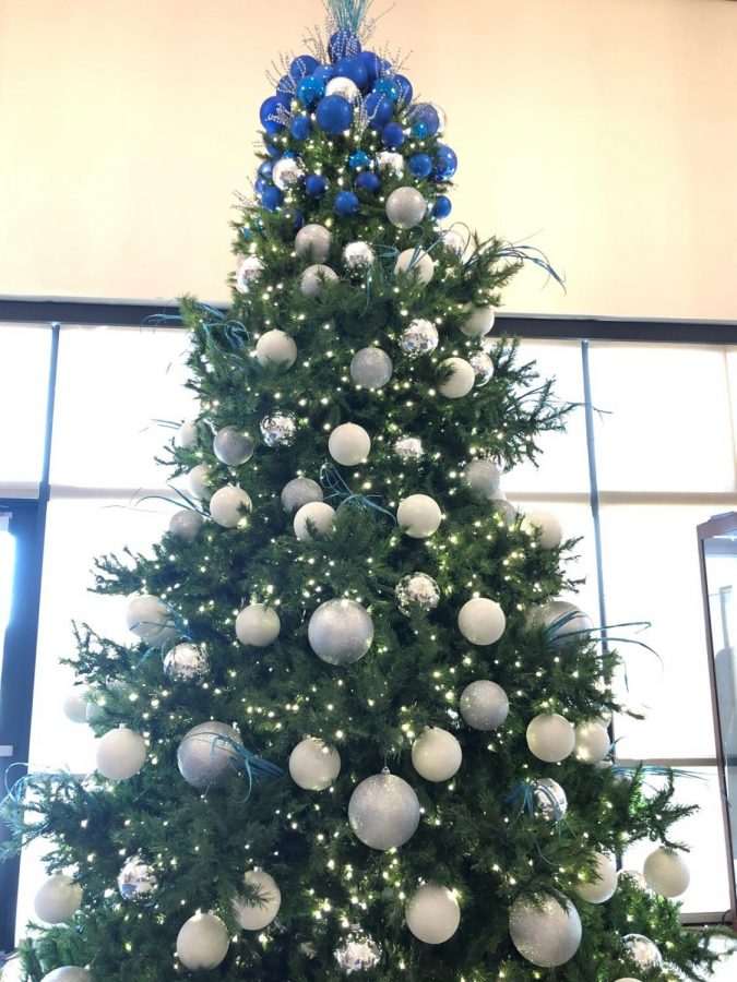 From November to the end of the Christmas season, Xavier’s amazing staff puts up many decorations, such as this tree in the Activity Center, to celebrate Jesus’s birth and the Christmas season. Xavier’s Key Club raised money to pay for these trees and then donated them to Xavier families in need every year.