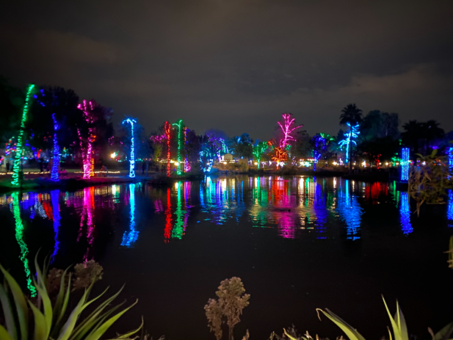 The lights wrapping around the tall palm trees glow and are reflected upon the water. The Phoenix Zoo was very detailed in organizing which lights and displays would go where. 