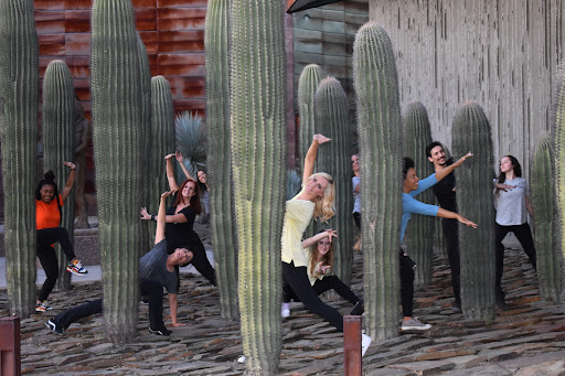 Scovel (center) and Herding (left center) are pictured dancing among cacti. They performed with Movement Source and incorporated elements of both dance and desert nature.  