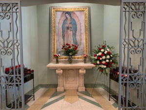 Parishioners pray for Mary’s intercession at the altar rail anytime that the Saint Francis Xavier Church is open. The Art and Environment volunteer ministry placed the flower arrangements by Mary’s Altar, next to the painting of Mary in a blue cloak representing her purity.