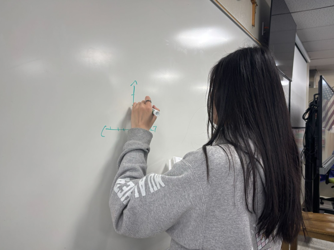 Lai Wei practices in her AP Calculus BC class with teacher Robert Hendrickson.
Wei competed in the American Math Competition and placed with the top 1% of students who took the test. 