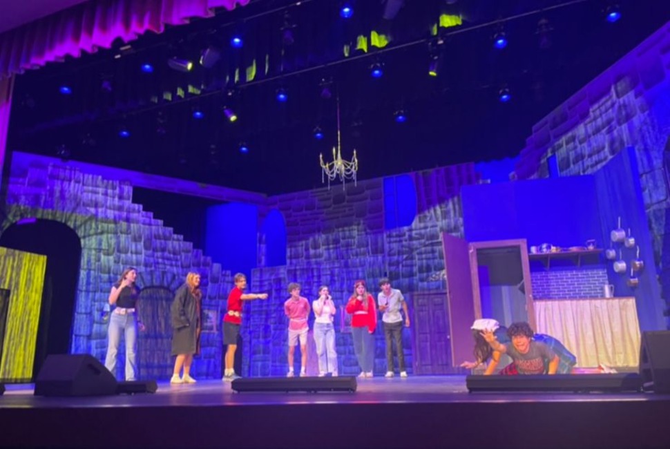 Characters are showing emotion to shock the audience. The actors go through an audition of singing and acting to be selected for a potential role. 