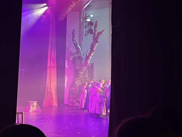 From the wings of the theater, crew members of Xavier College Prep’s production of “Hadestown” watch as the last show is performed. With a vibrant set, the show captures the hard work that the students put forward.