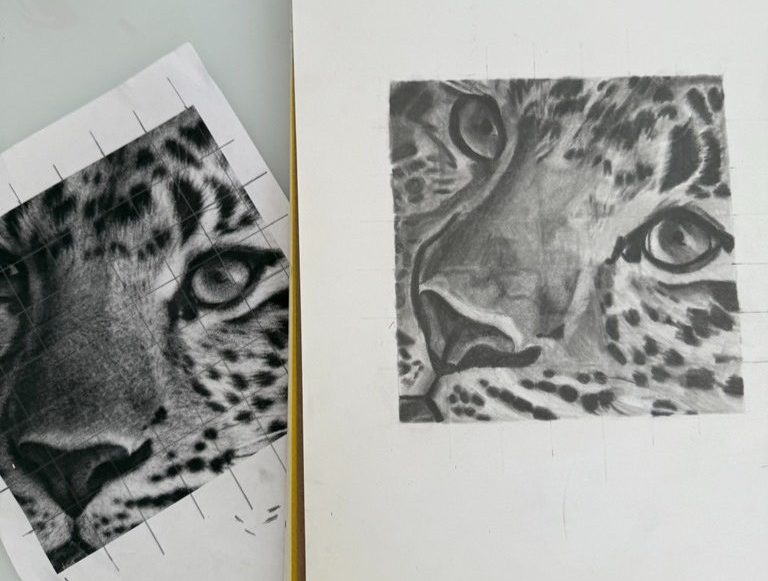 A detailed drawing of a leopard is portrayed as the artist Bridget Edgell ‘27 works from a reference image. Creative hobbies such as drawing can provide an outlet for self-expression while offering a break from everyday stressors.


